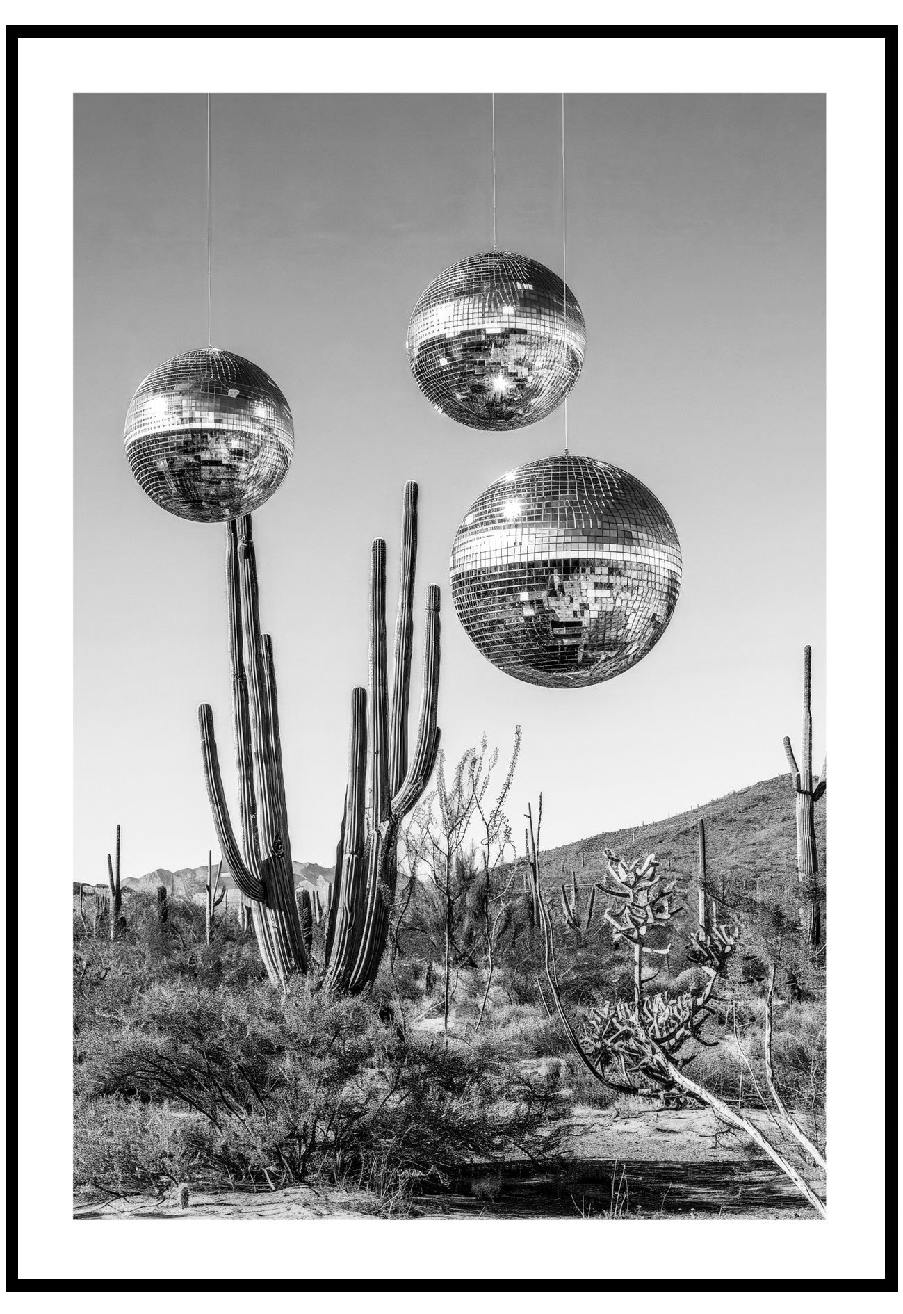 Desert Disco Poster