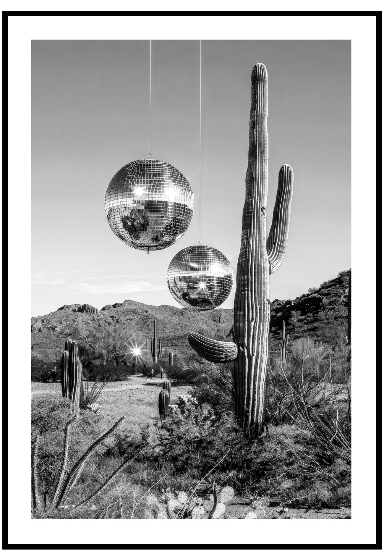 Desert Disco Poster