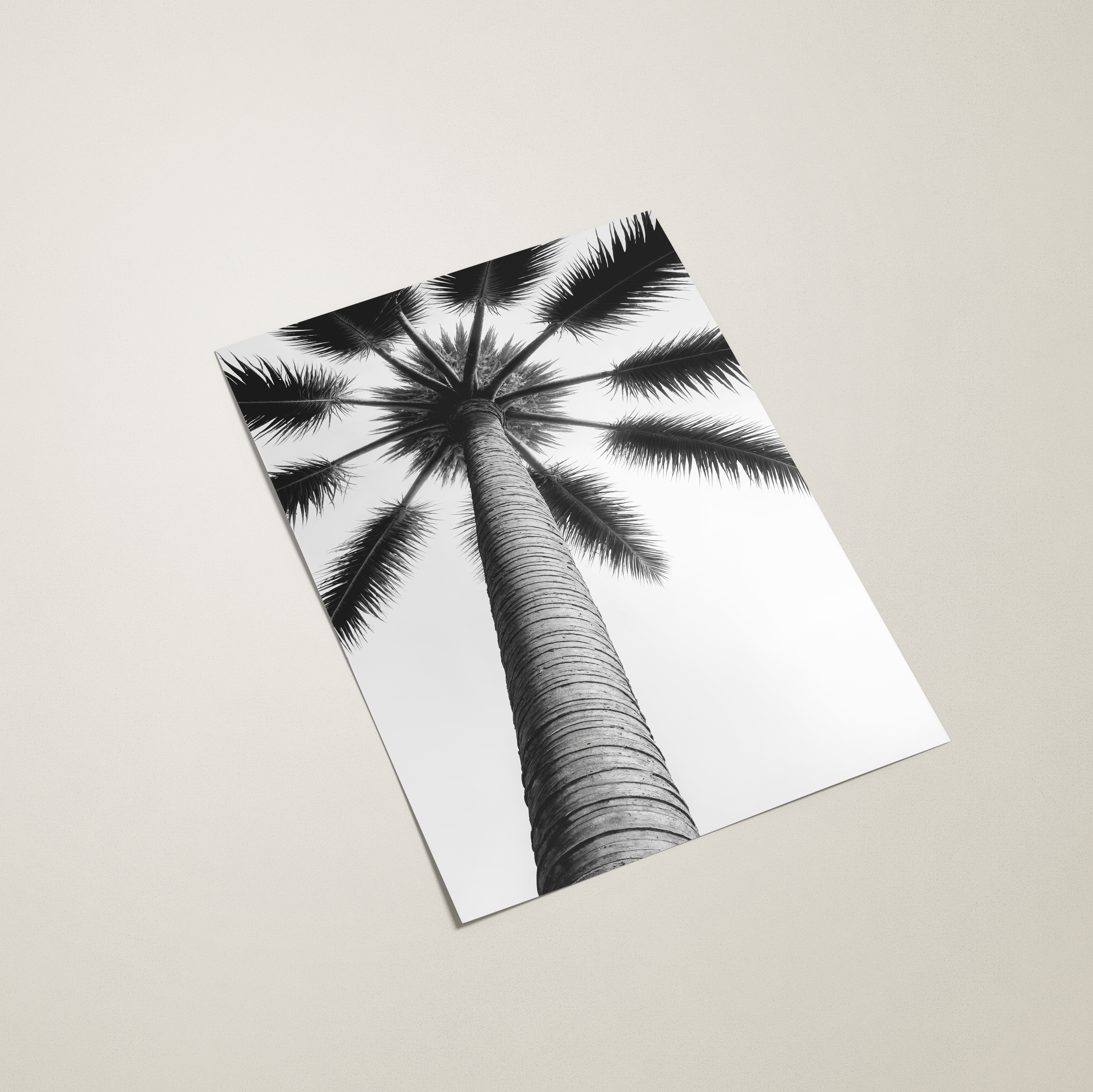 Palm Series wall art