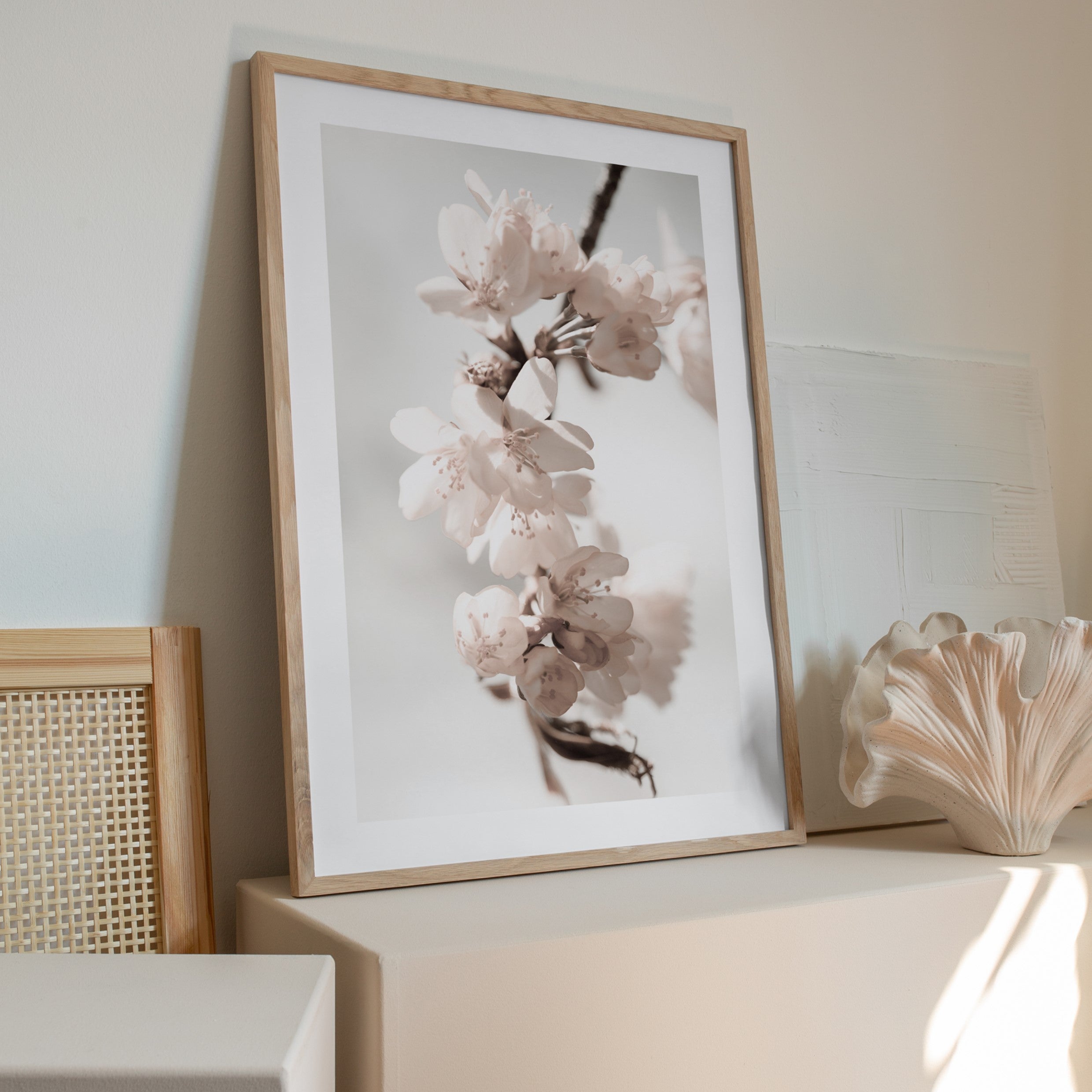 cherry blossoms poster