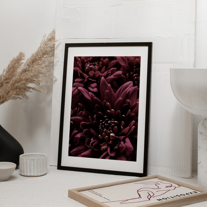 Chrysanthemum Flowers poster