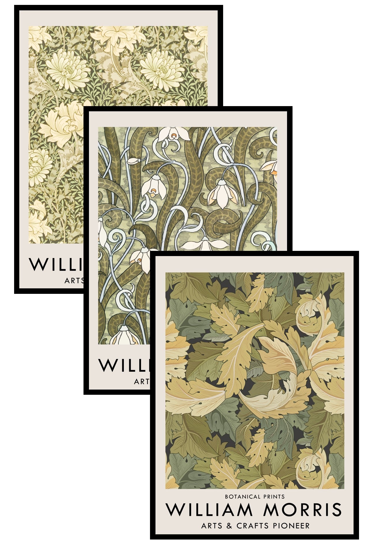 collection 048 william morris poster set