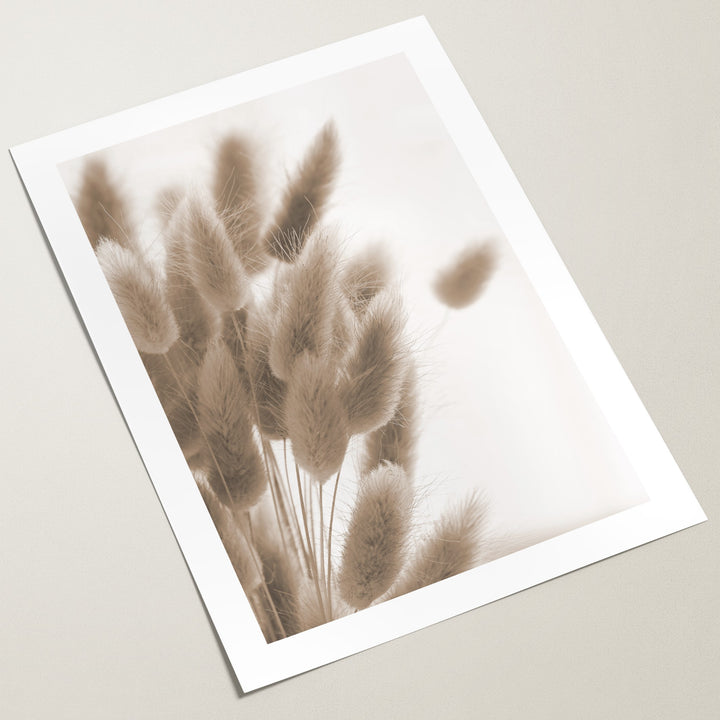 bunny tails grass poster