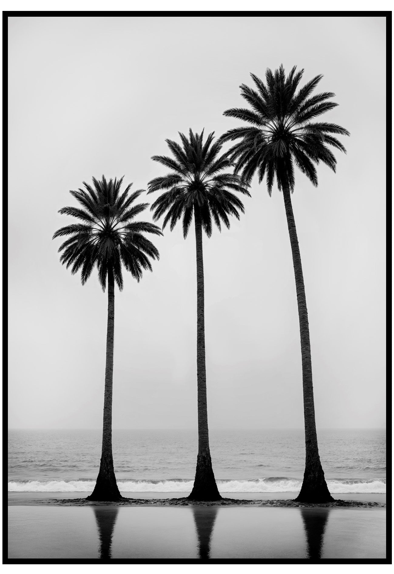 Palm Series wall art