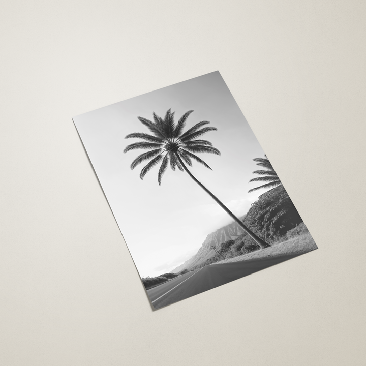 Palm Series wall art