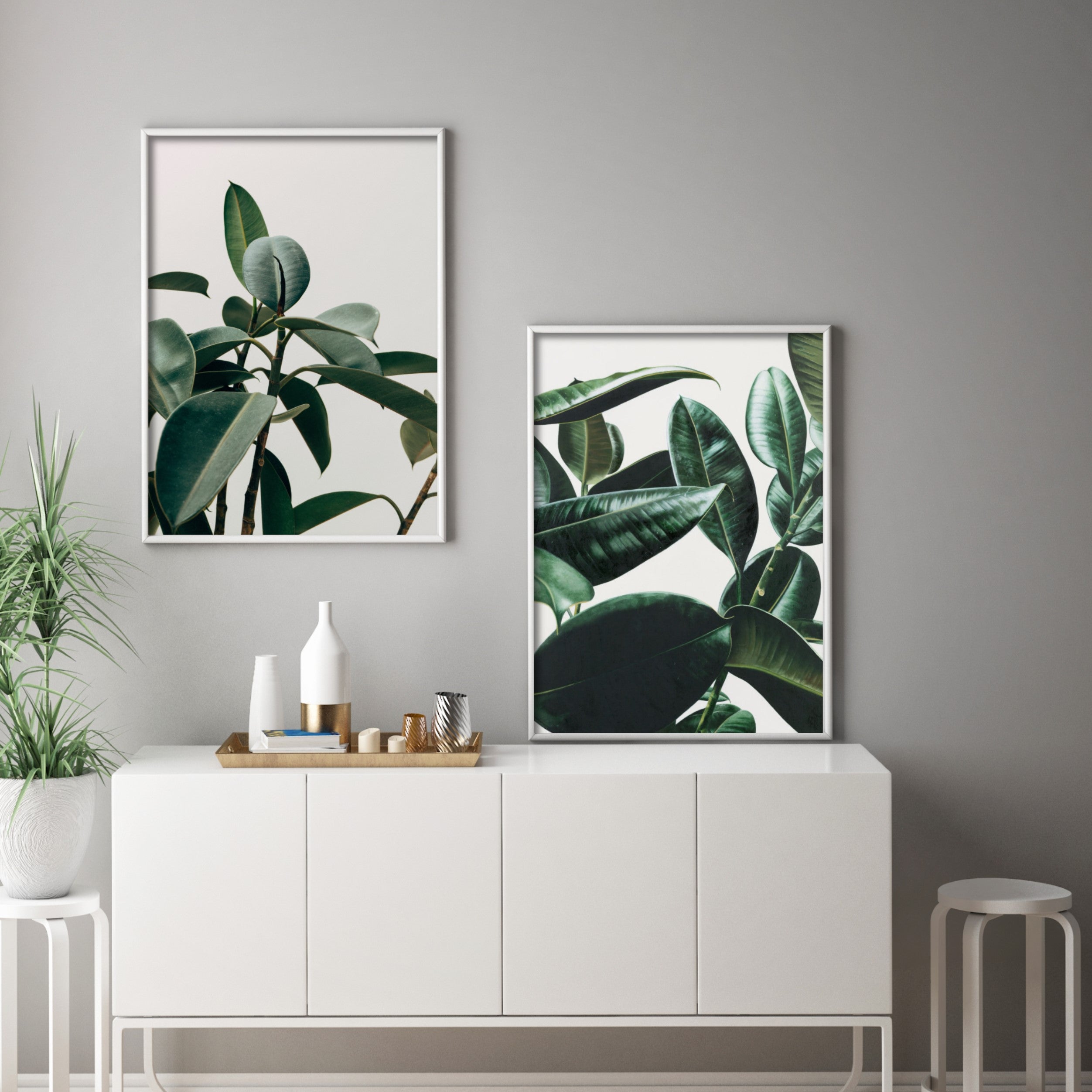 Print poster wall art rubber plant