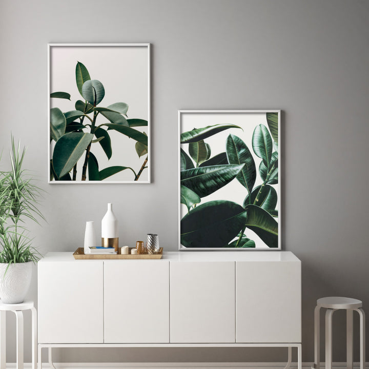 Print poster wall art rubber plant 2