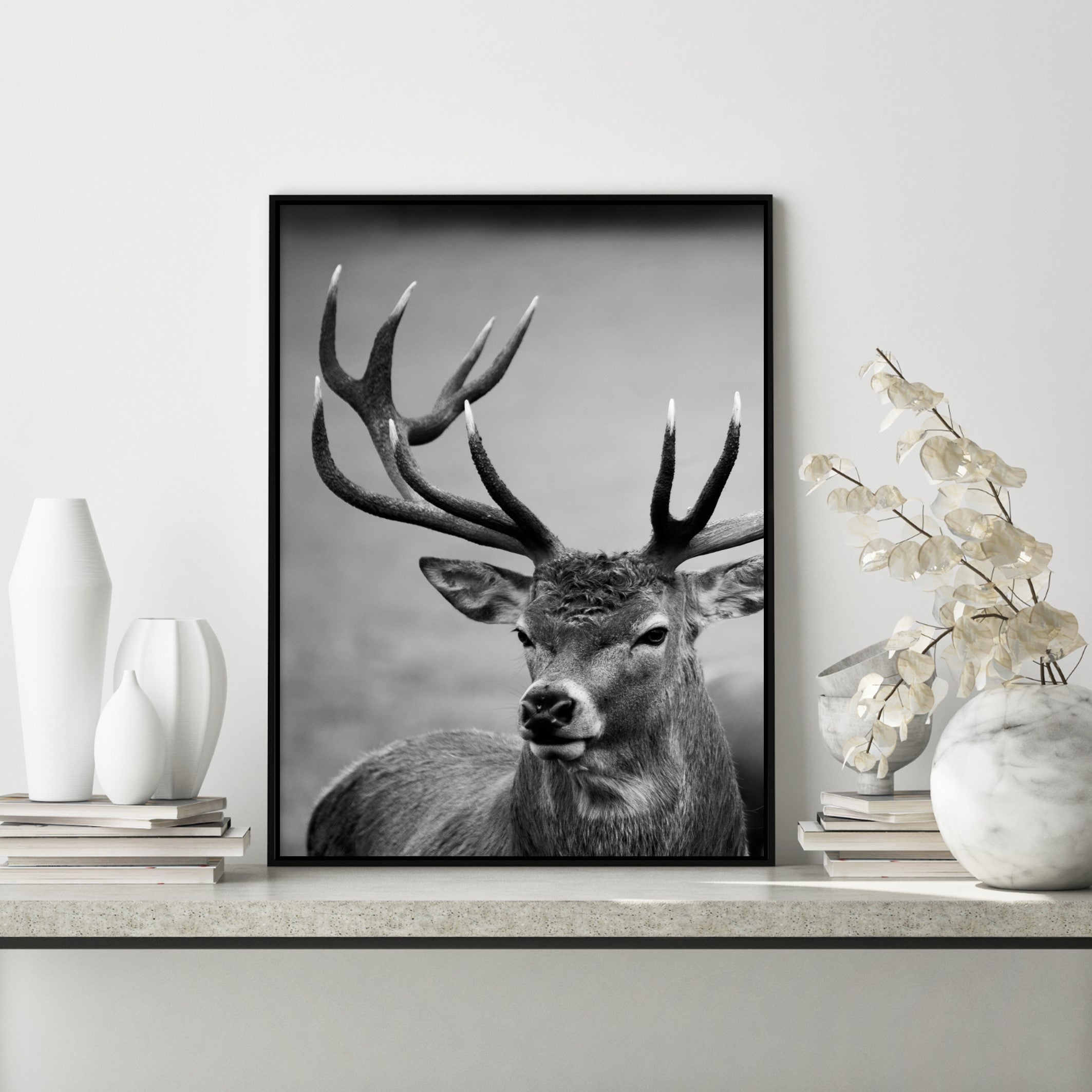 photography print of stag