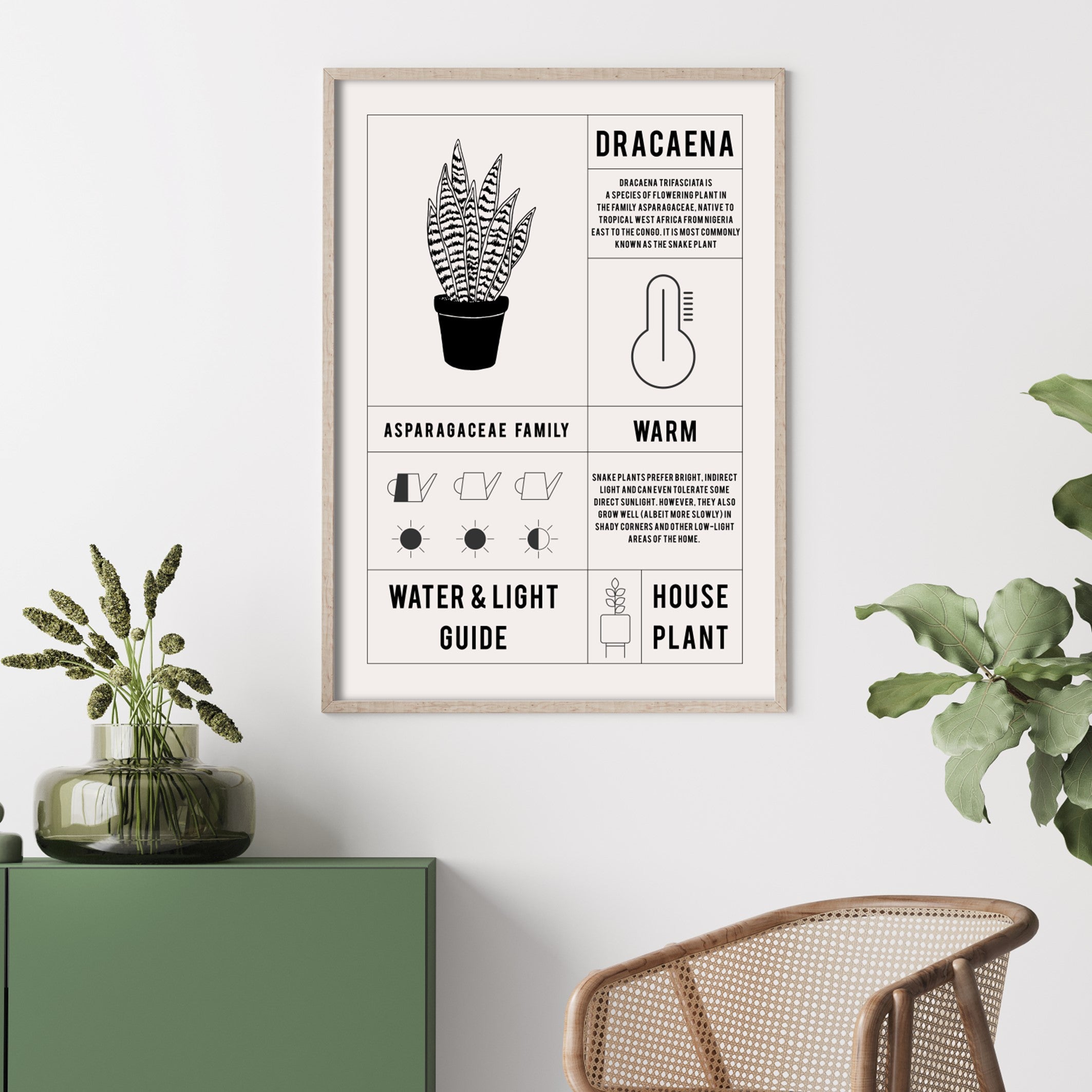 snake plant wall poster