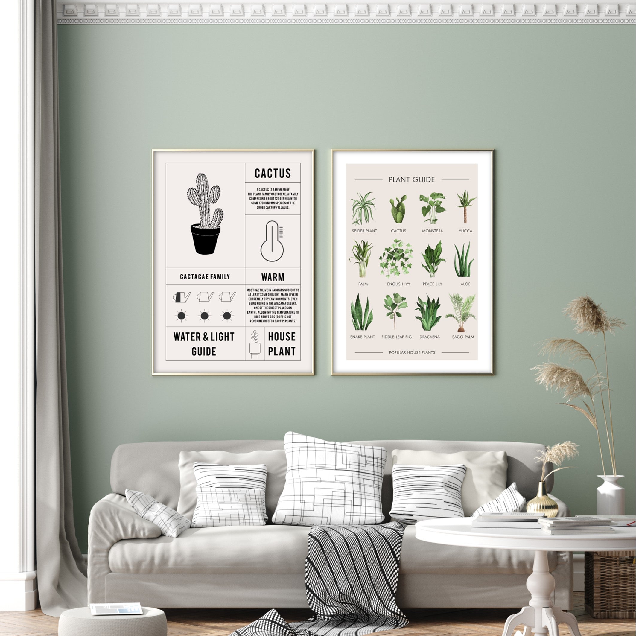 cactus plant guide print poster