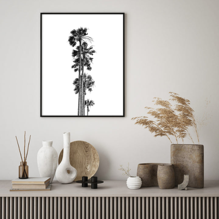 palm row black and white palm tree poster