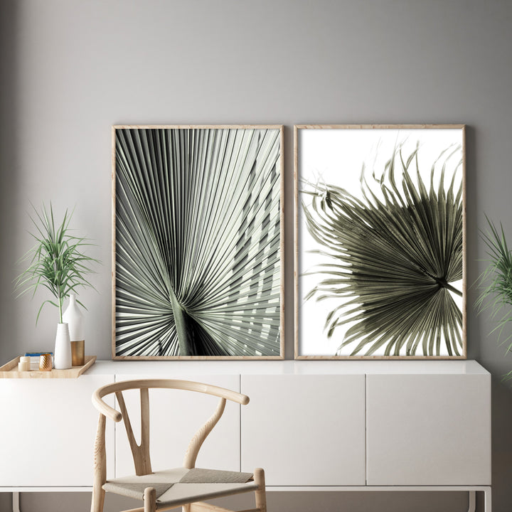 Print poster wall art fan palm