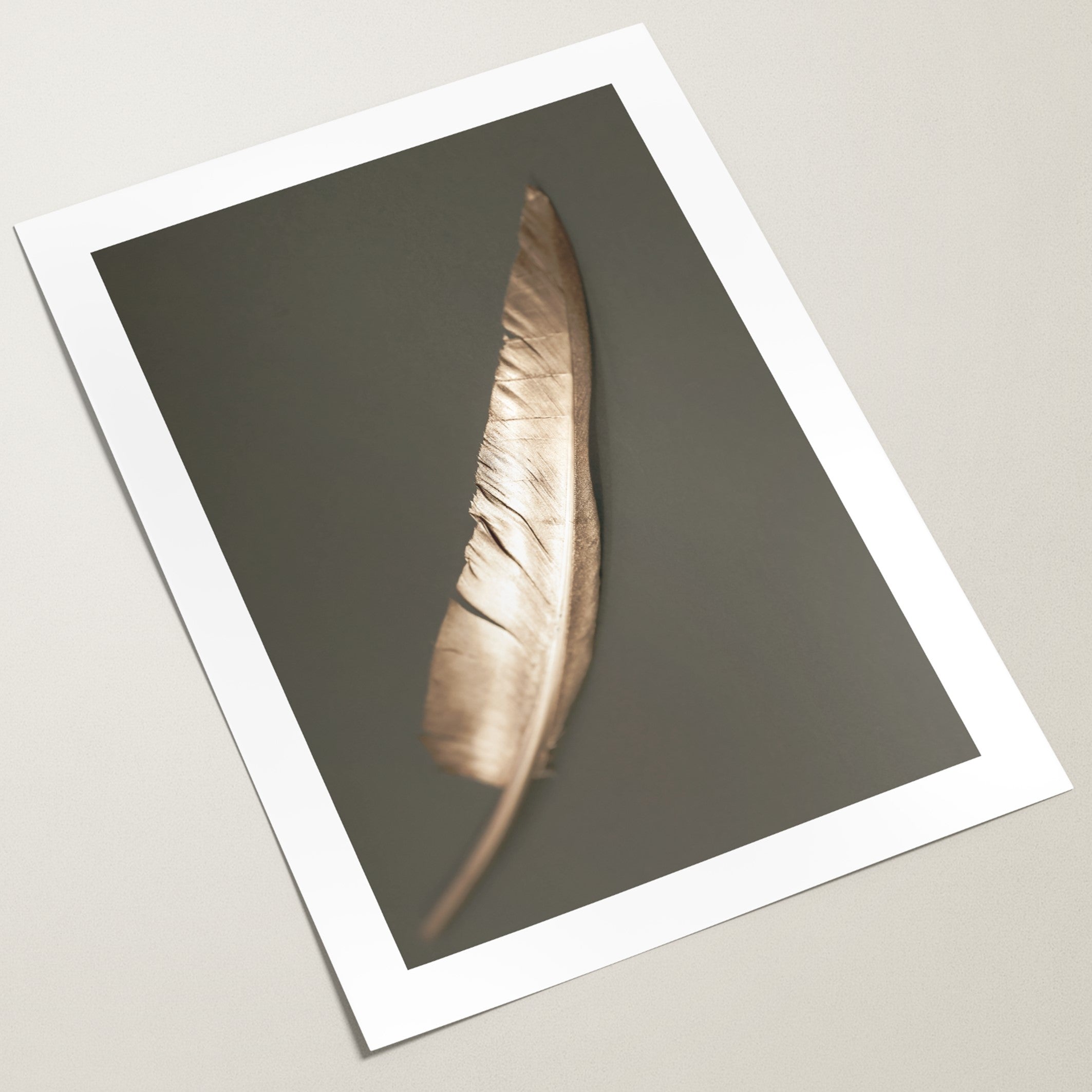 gold feather wall art