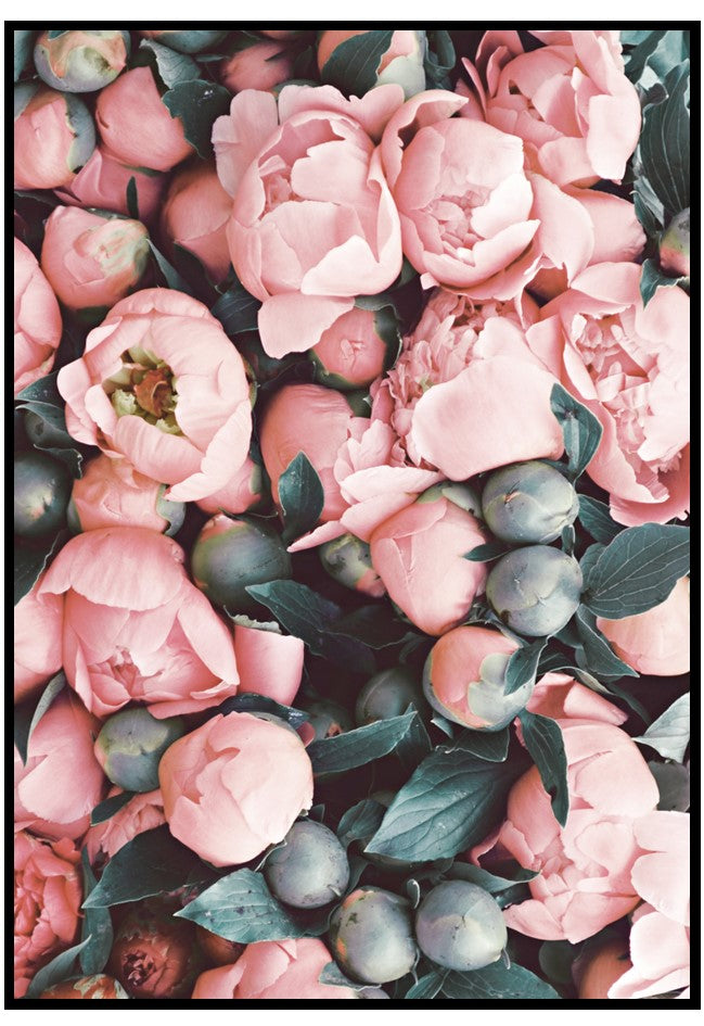 peony wall art