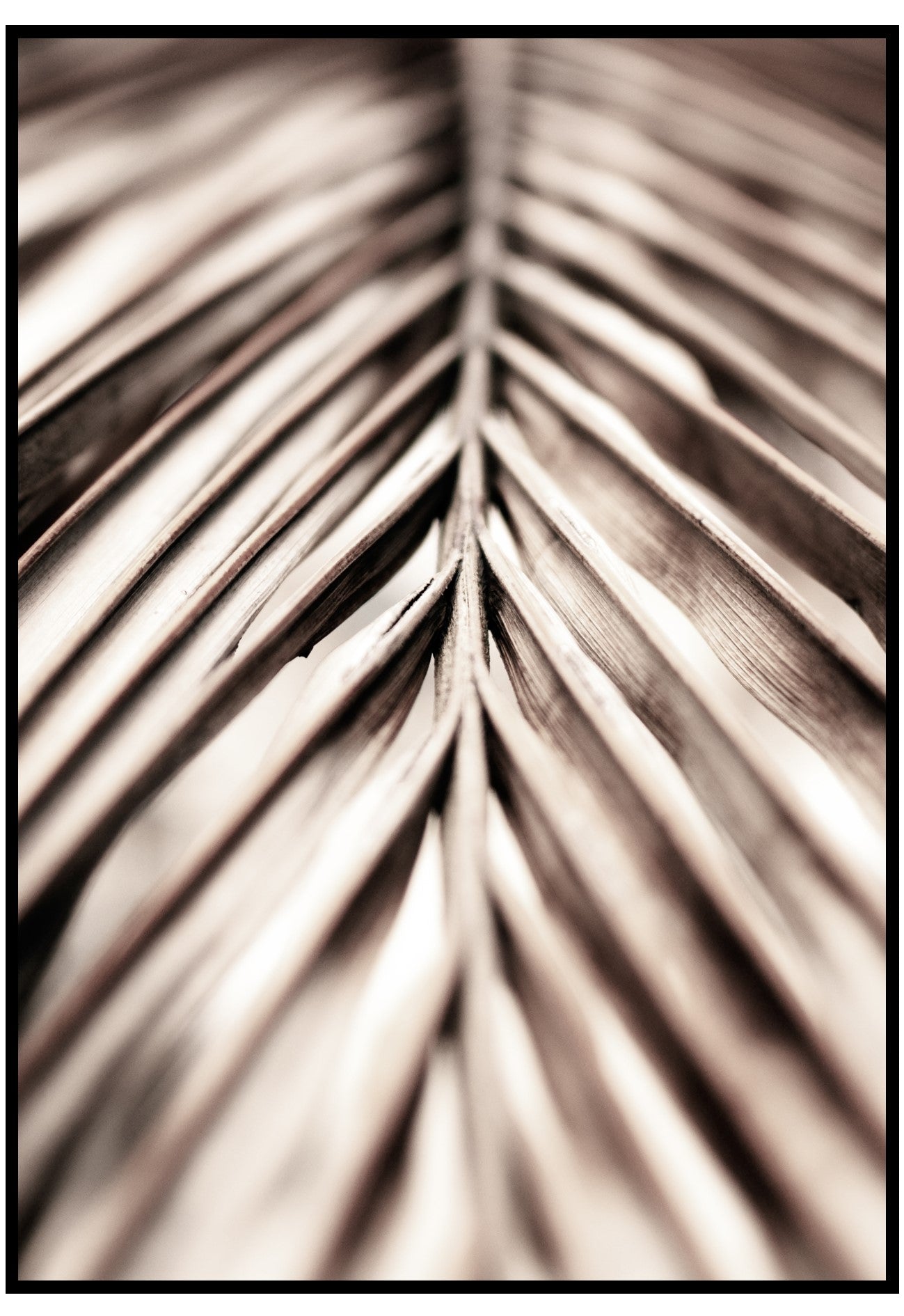 palm leaf detail wall art