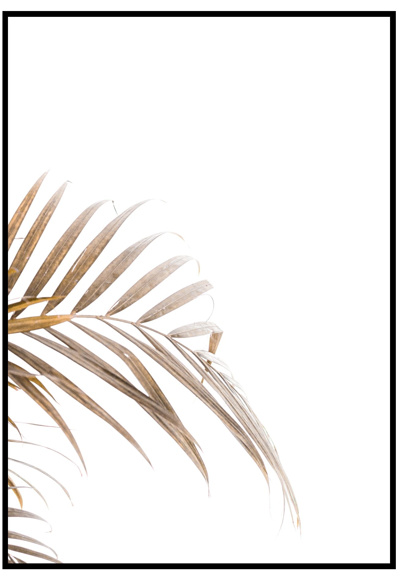 brown palm wall art