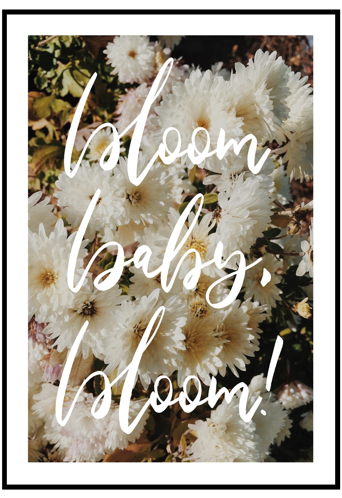 bloom baby bloom wall art