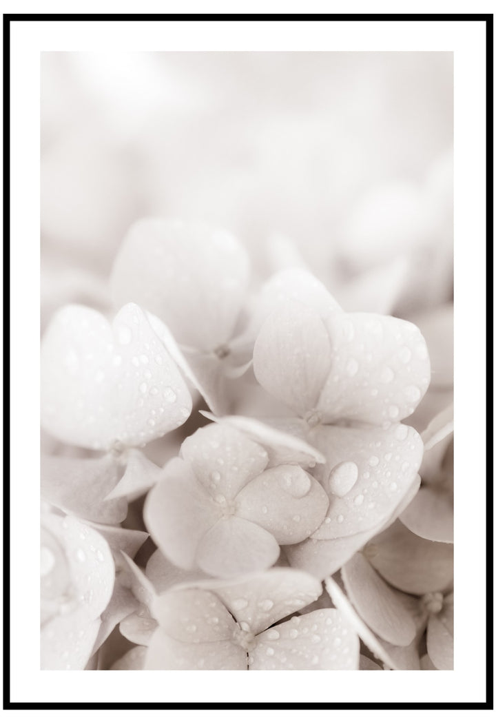 neutral hydrangea wall art