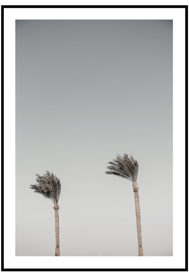 windy palms wall art