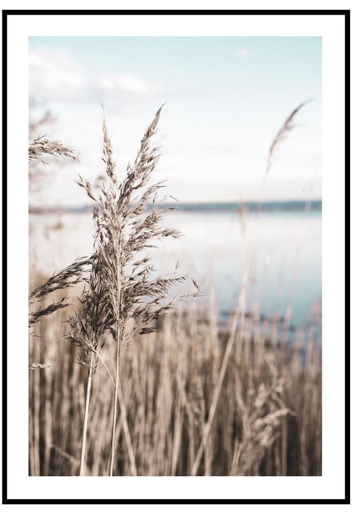 winter reeds wall art