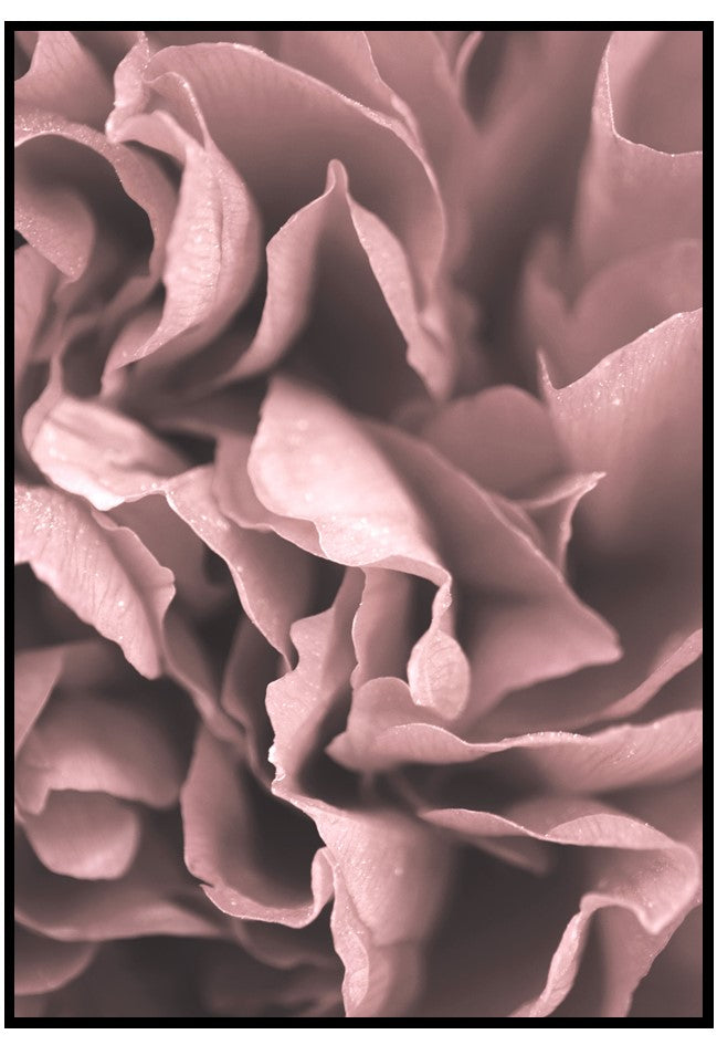 peony petals wall art