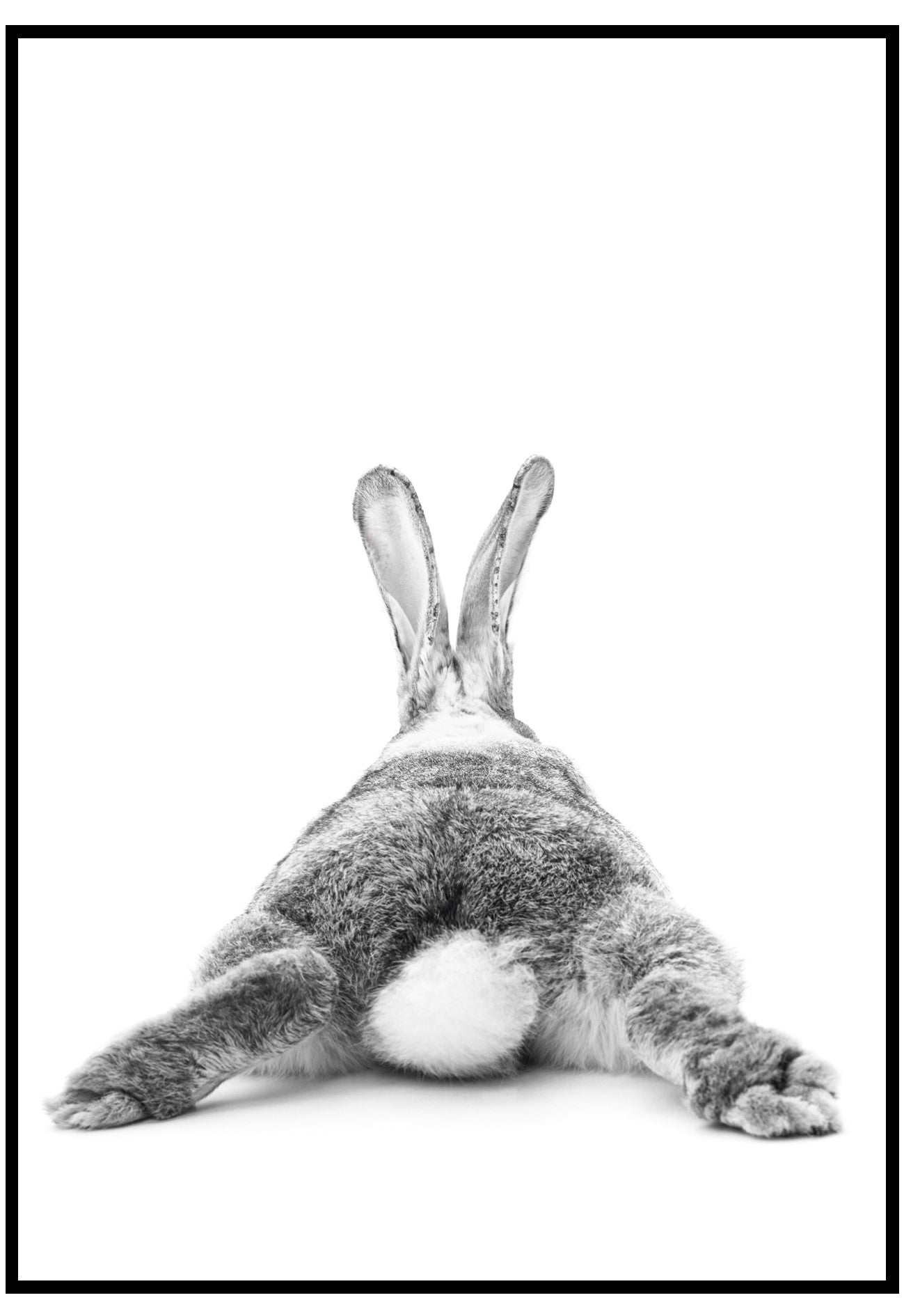 bunny tail wall art