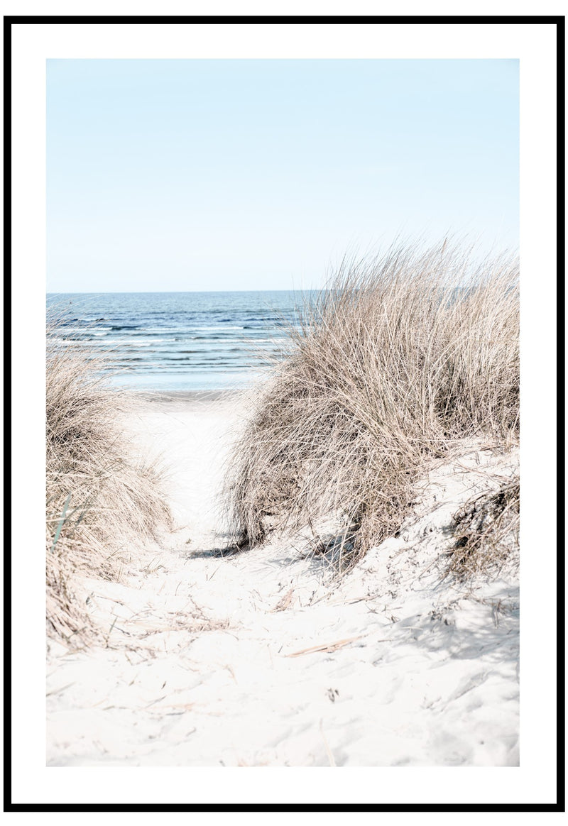 dune grass wall art