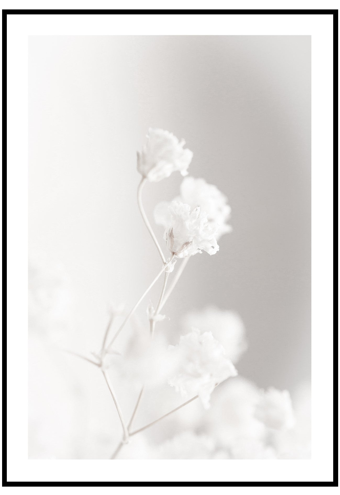 winter flowers wall art