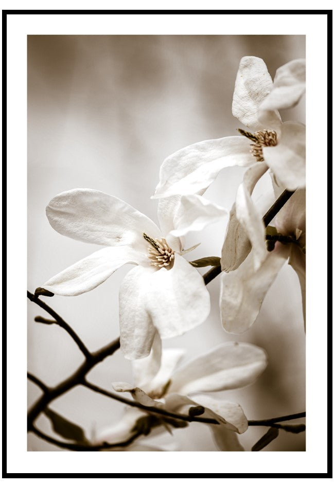 magnolia flower wall art