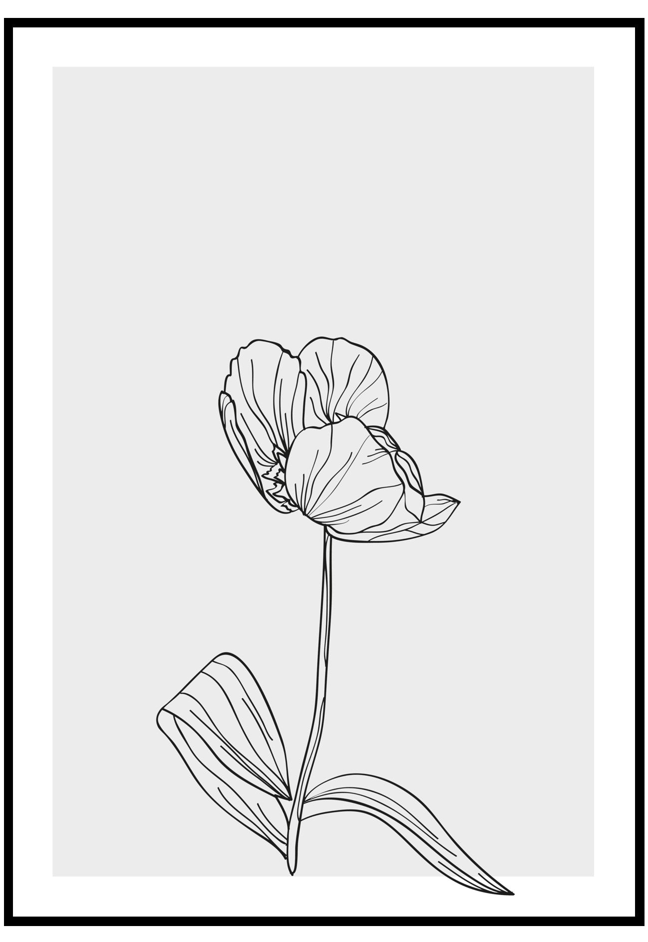 tulip lines wall art