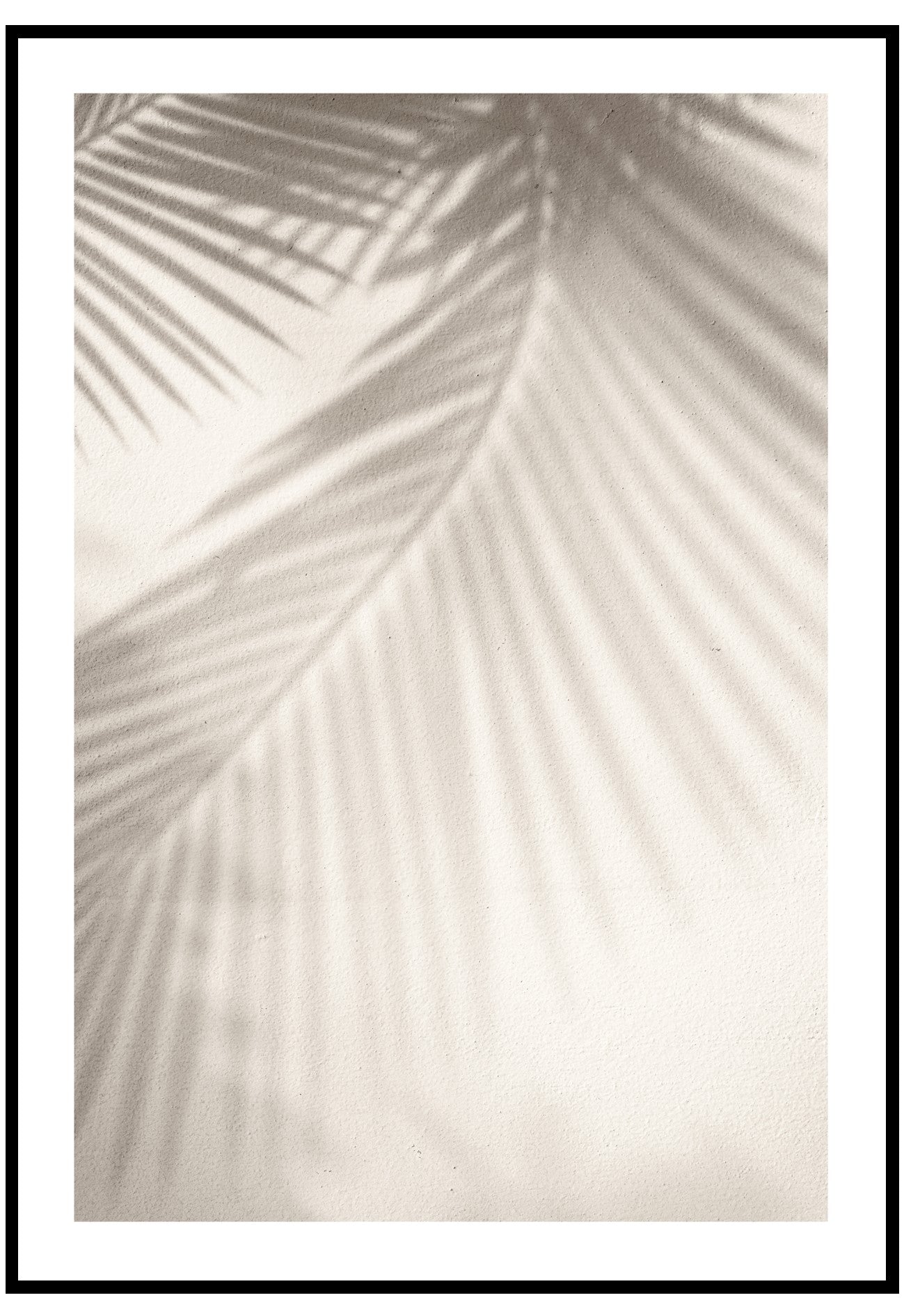 palm shadows wall art