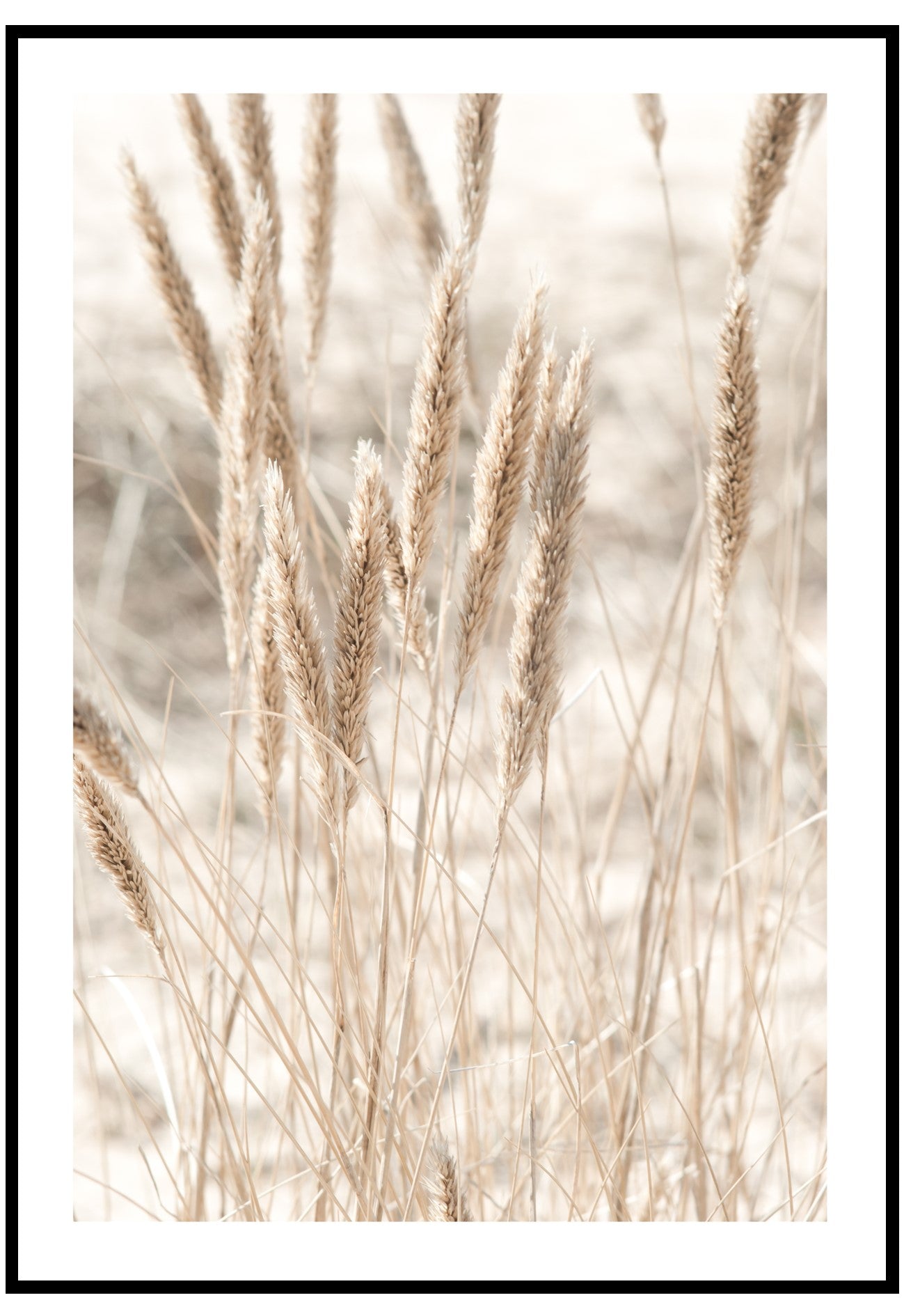 beach grass wall art