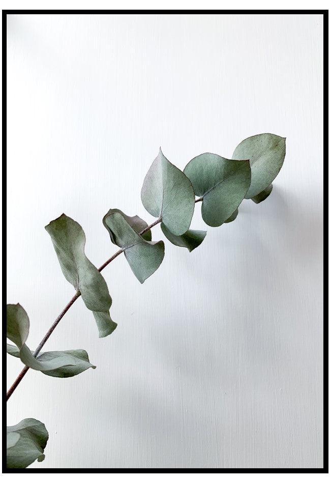 eucalyptus leaves wall art