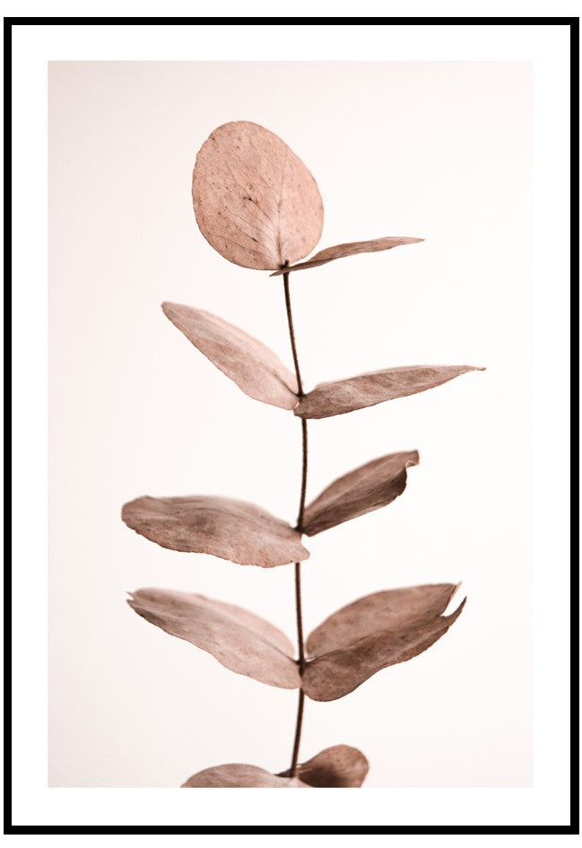 dried eucalyptus wall art