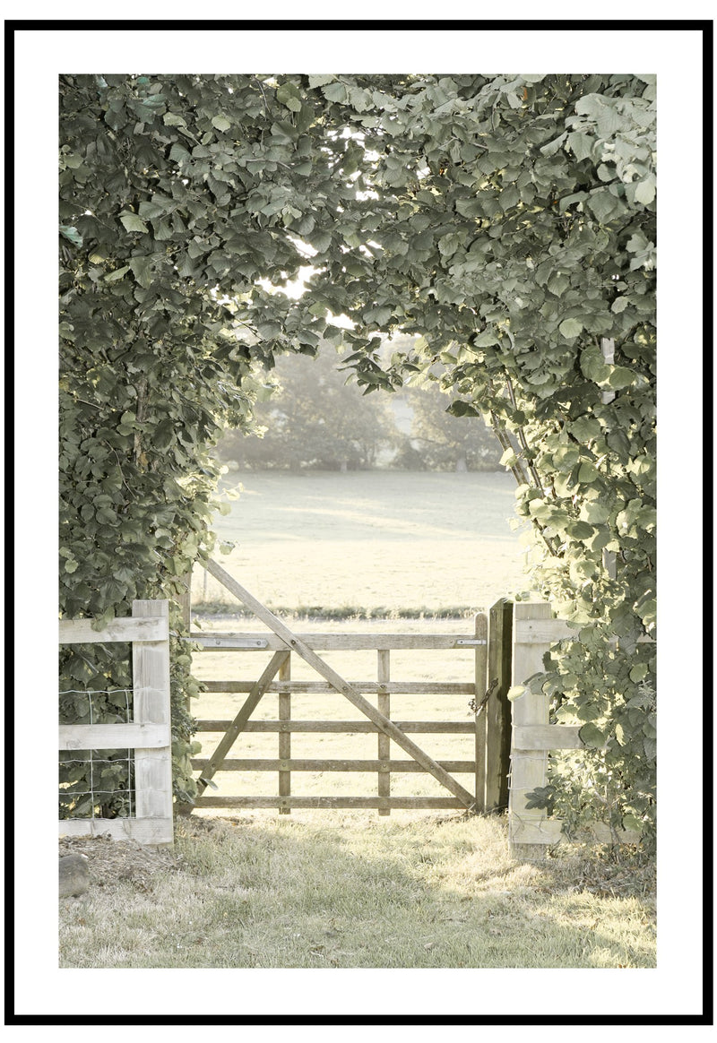 Field Gate Wall Art