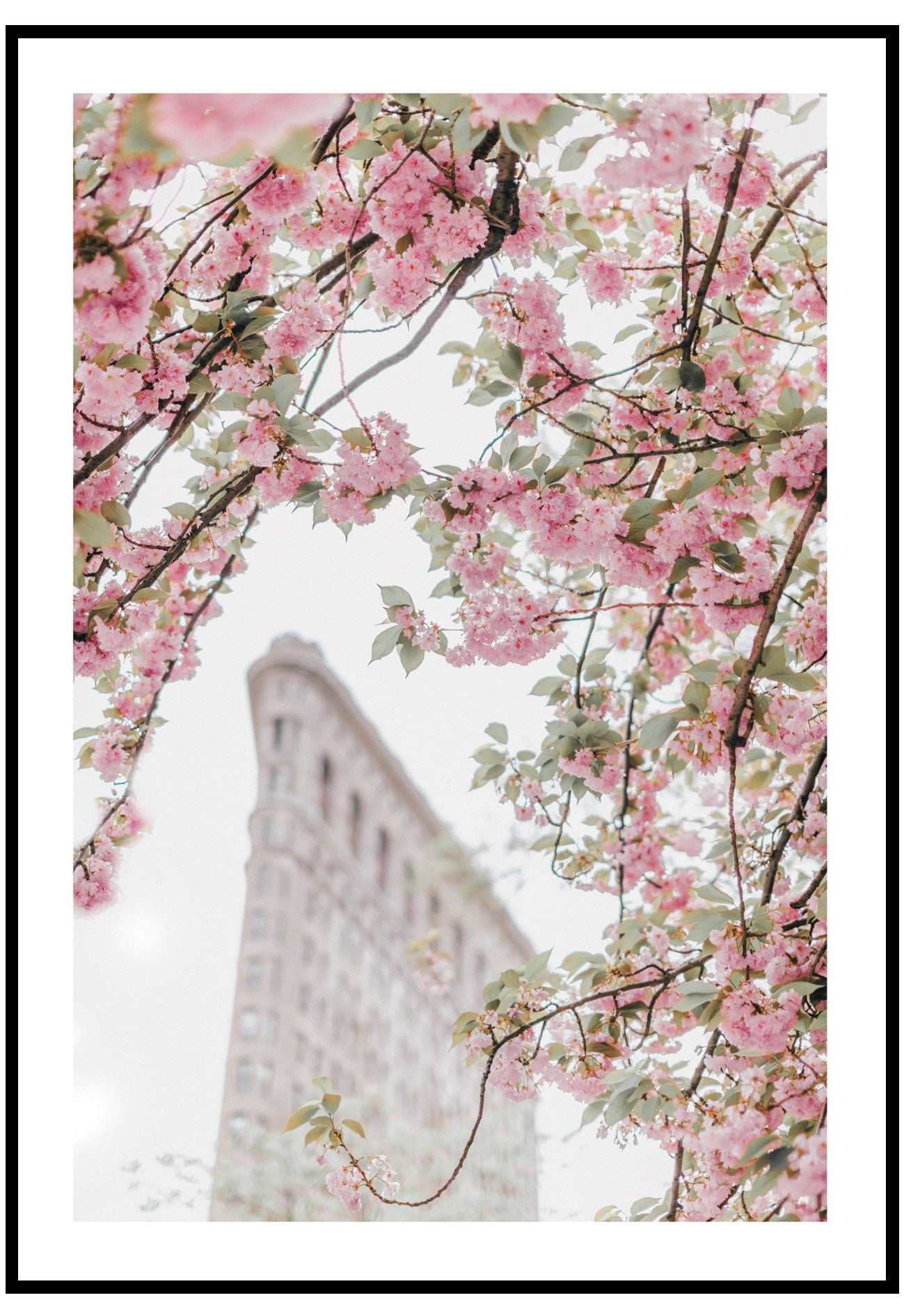 New York Blossom Wall Art