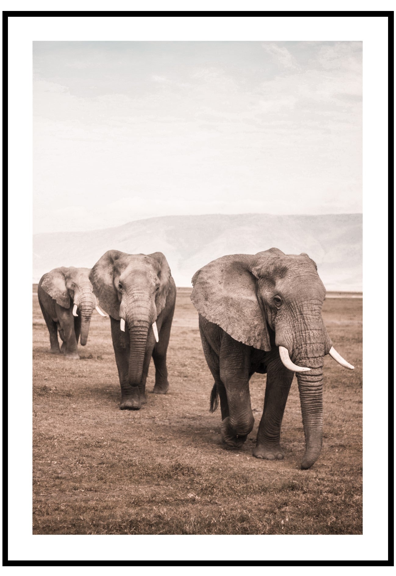 Elephants In The Wild Wall Art