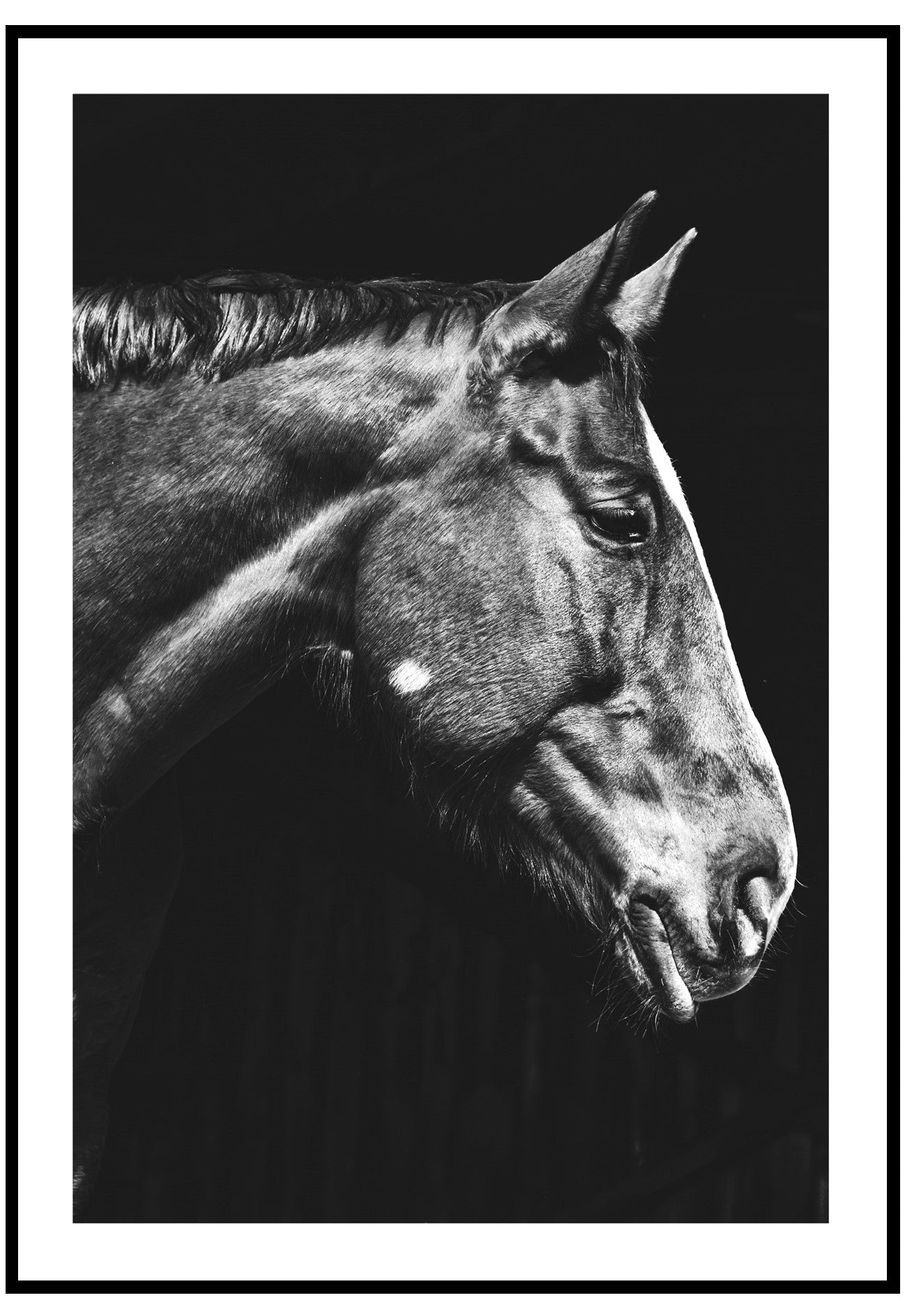 Horse Portrait Wall Art