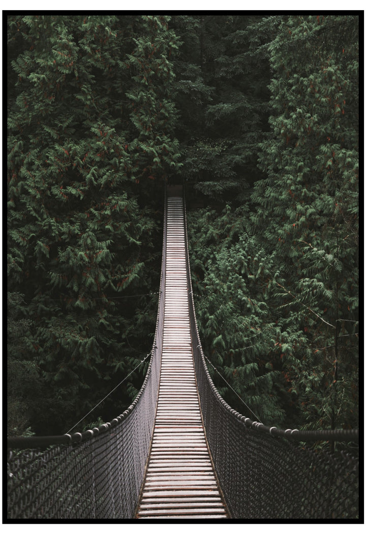 Forest Bridge Wall Art