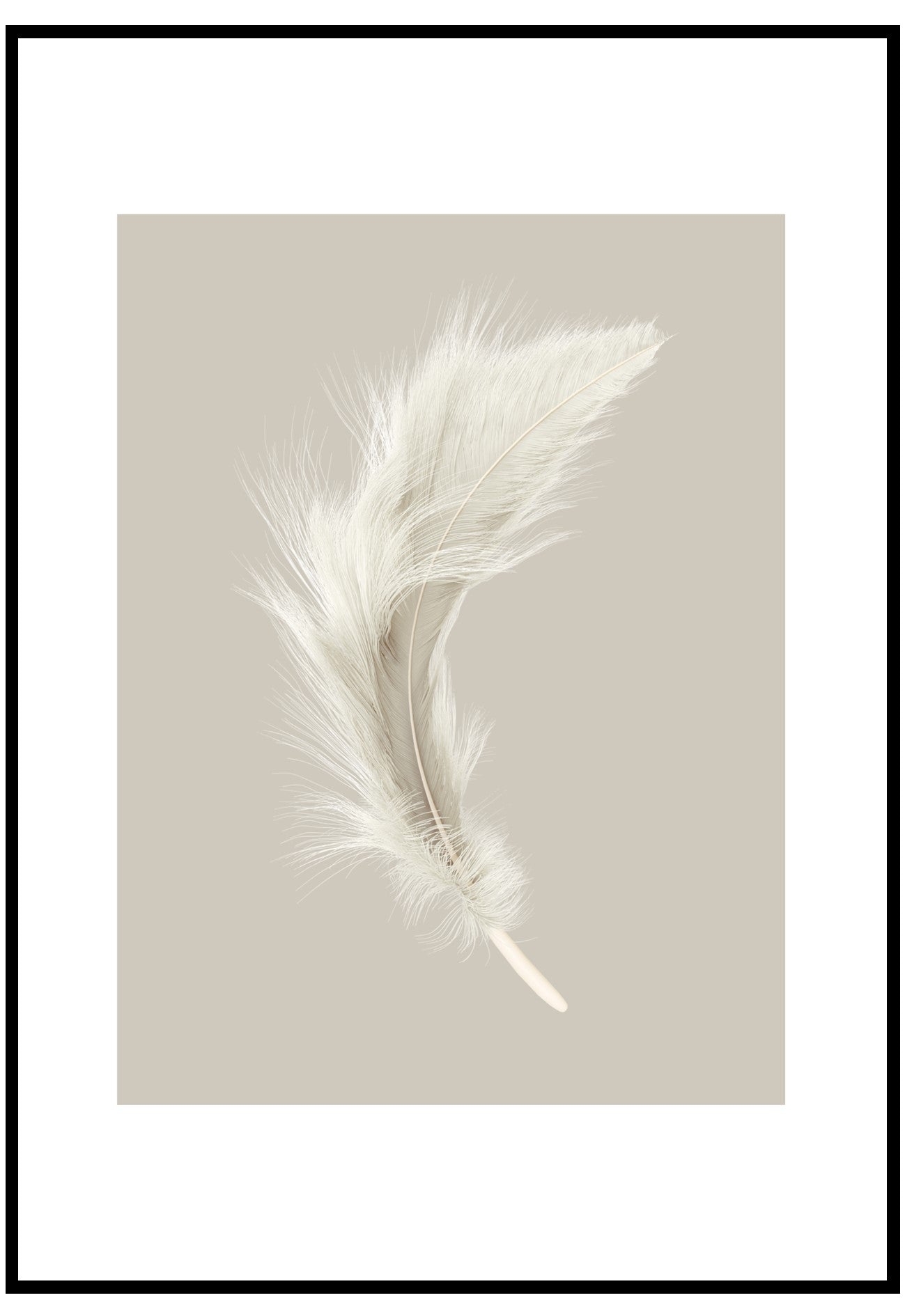 Feather Portrait Wall Art