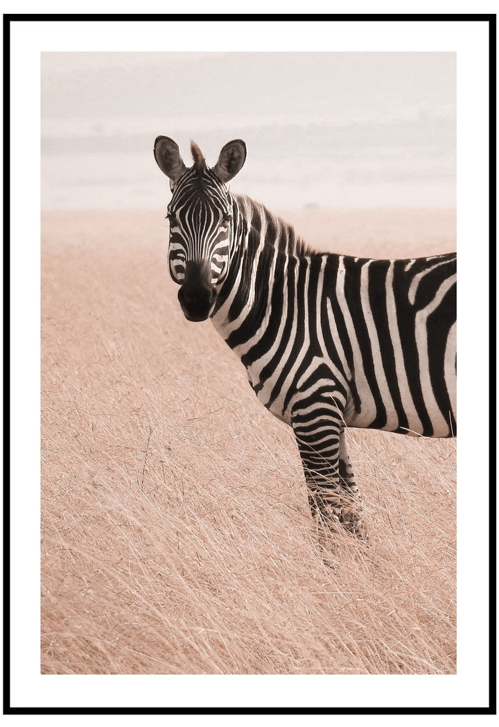 Zebra In The Wild Wall Art