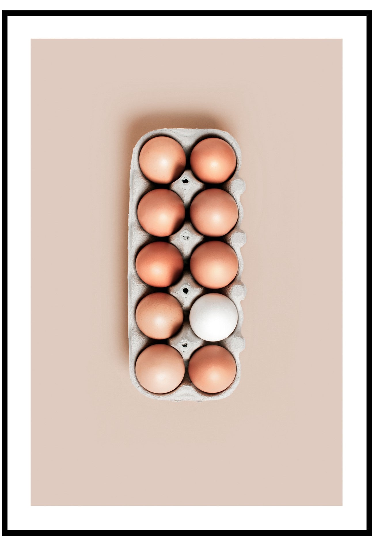 Egg Tray Wall art