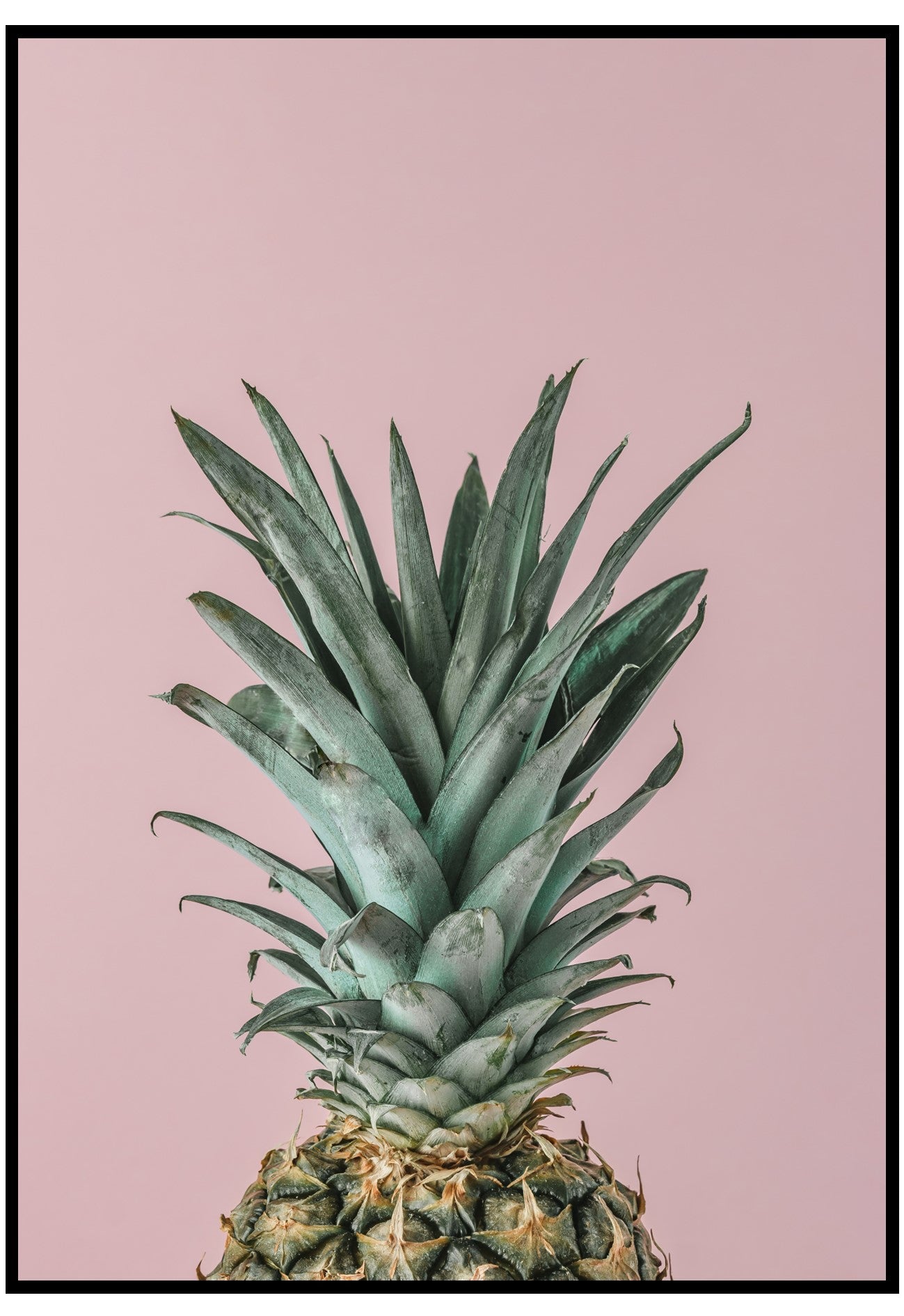 Pineapple On Pink Wall Art