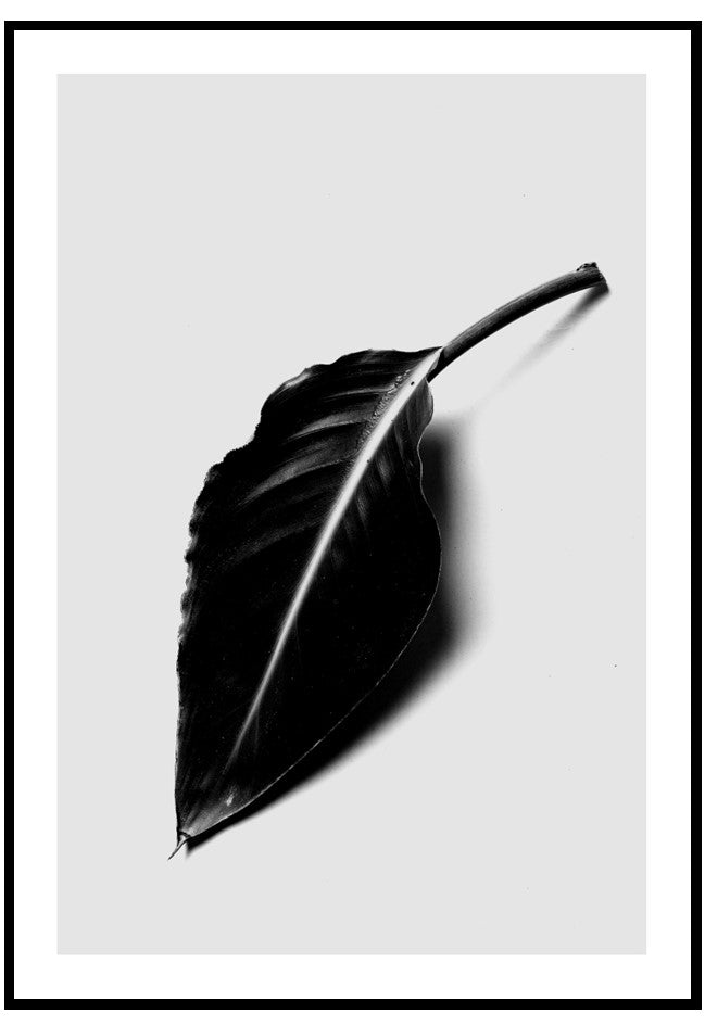 the black leaf wall art