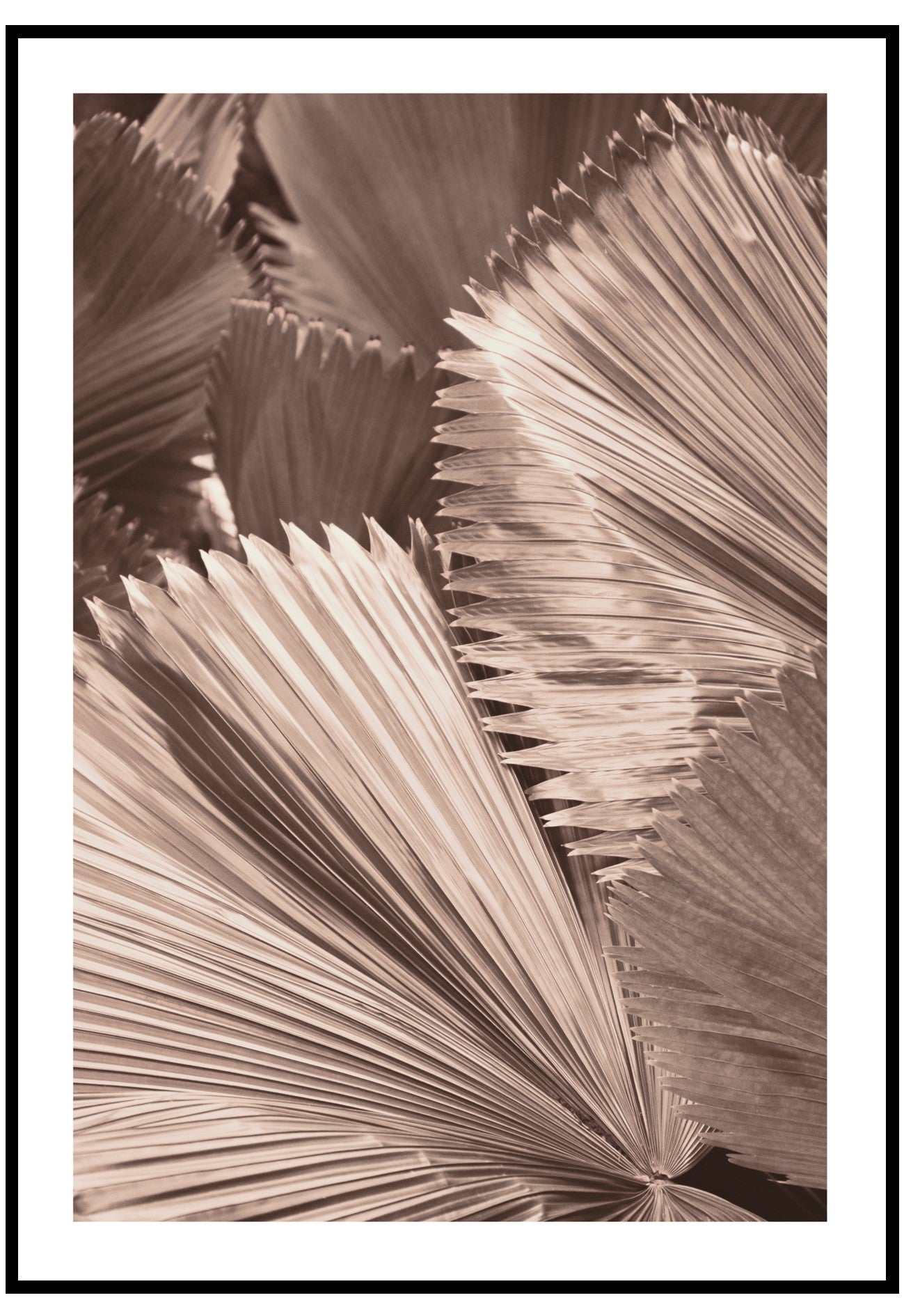 bronze fan palm wall art