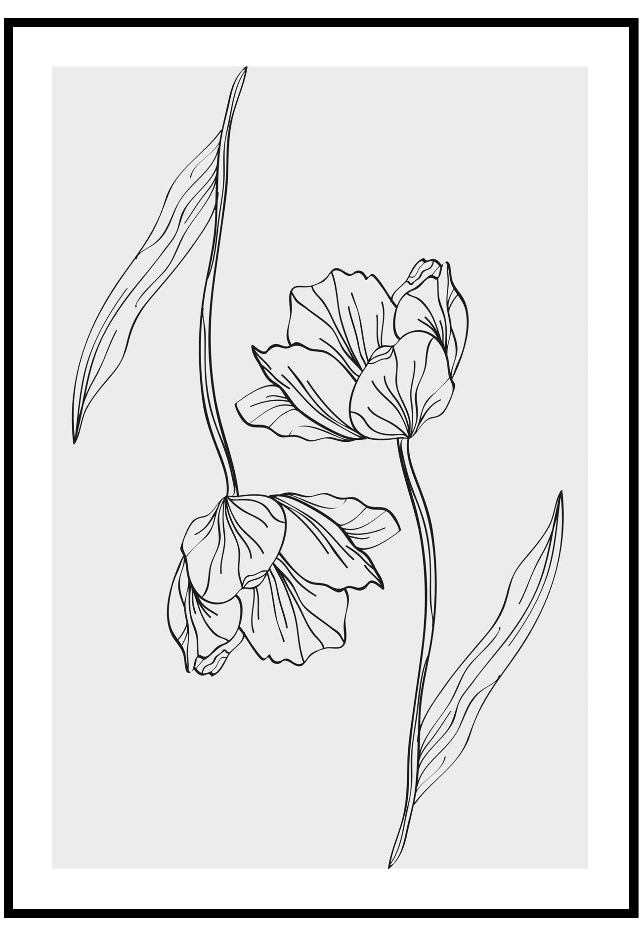 tulip lines wall art