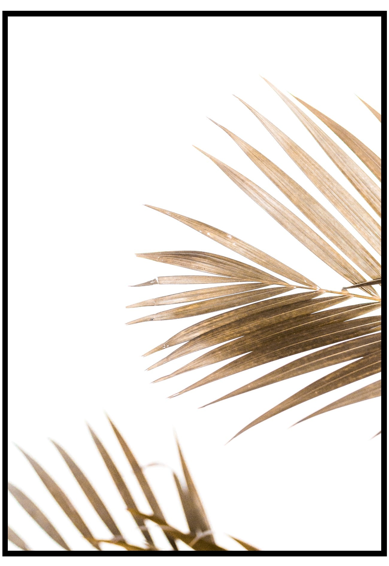 brown palm wall art