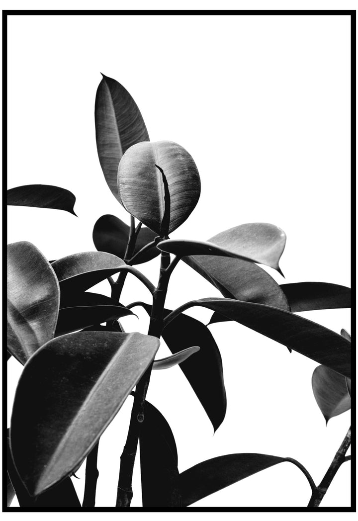 black rubber plant wall art