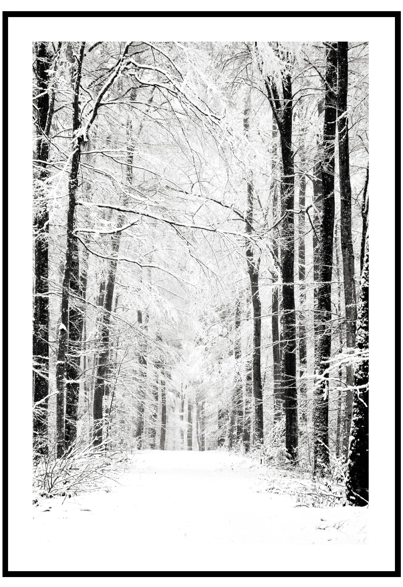 snowy forest wall art