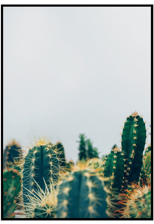 desert cactus wall art